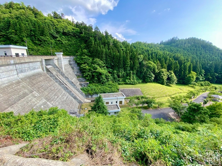 f:id:cippillo:20210806072757j:plain