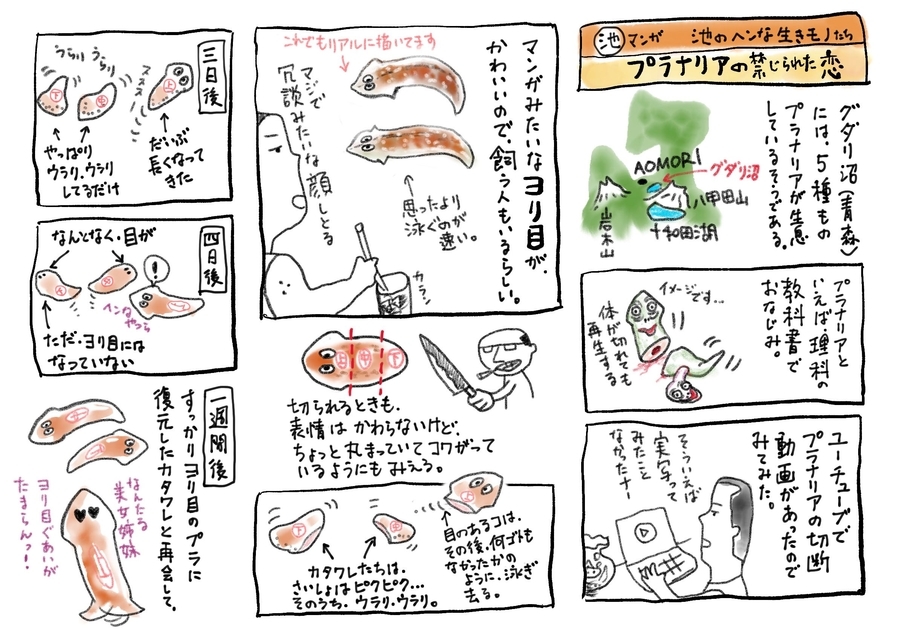 グダリ沼 青森県青森 水辺遍路