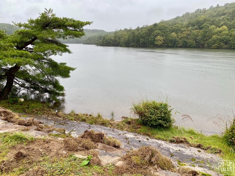 f:id:cippillo:20210807103910j:plain