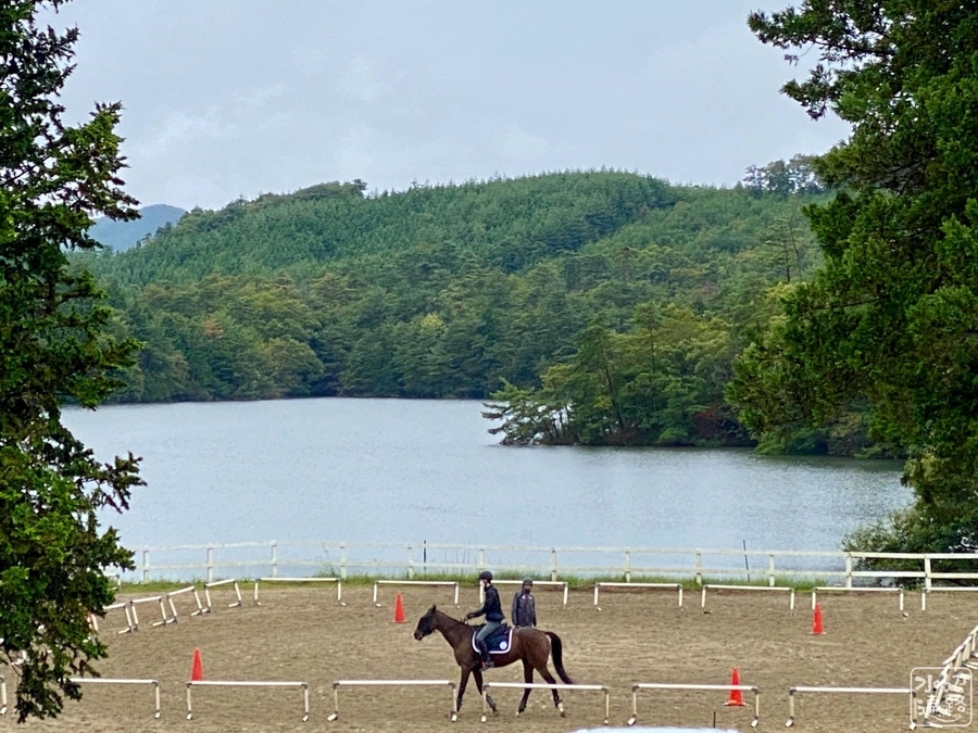 f:id:cippillo:20210807103944j:plain