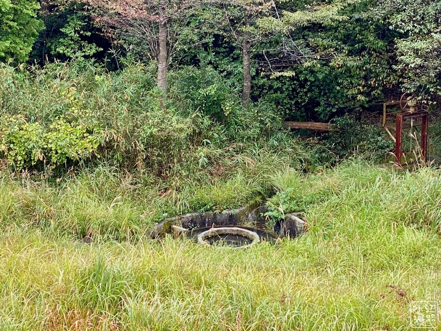 f:id:cippillo:20210807104003j:plain