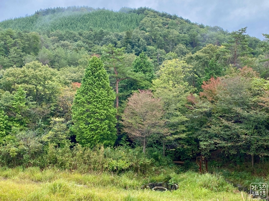 f:id:cippillo:20210807104015j:plain