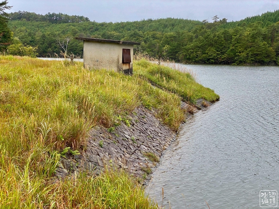 f:id:cippillo:20210807104025j:plain