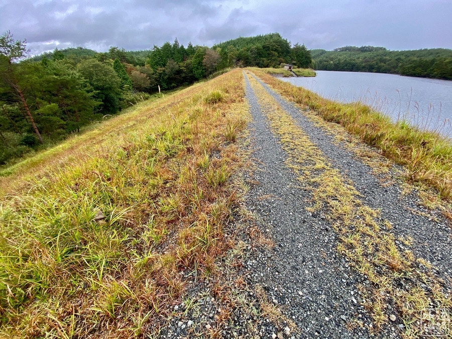 f:id:cippillo:20210807104035j:plain