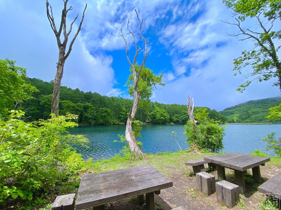 f:id:cippillo:20210810125911j:plain