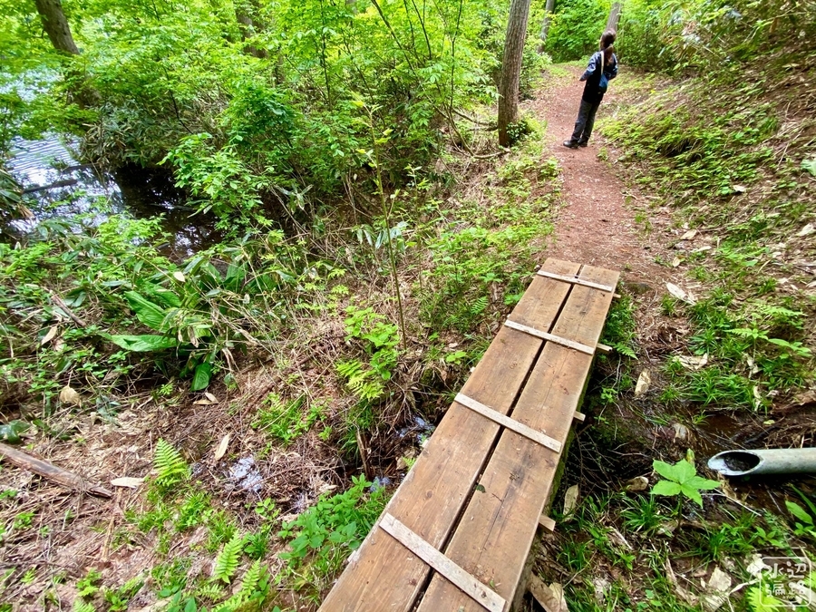 f:id:cippillo:20210810140209j:plain