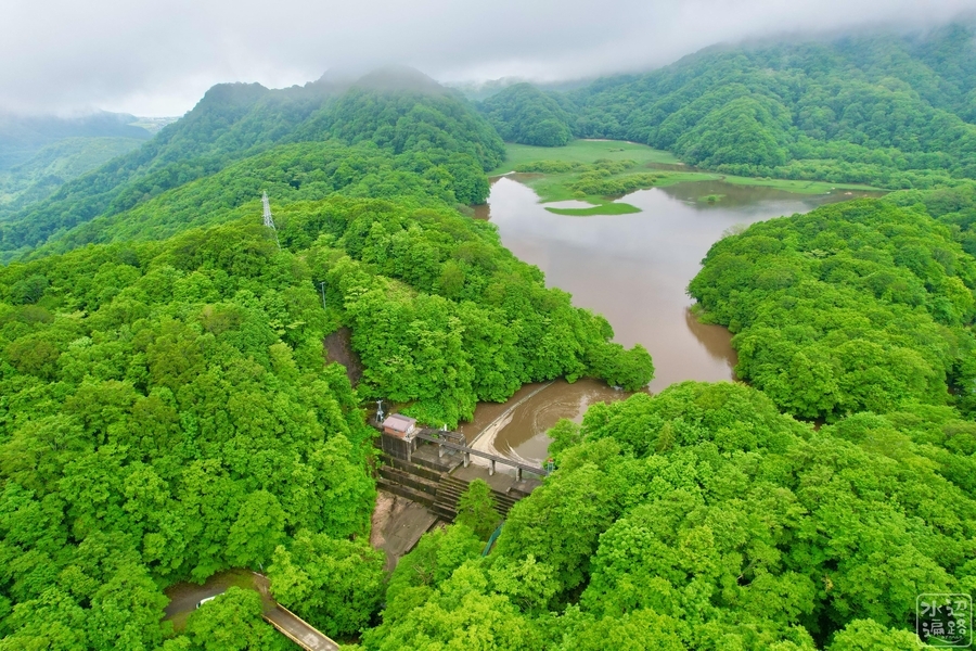 f:id:cippillo:20210817151234j:plain