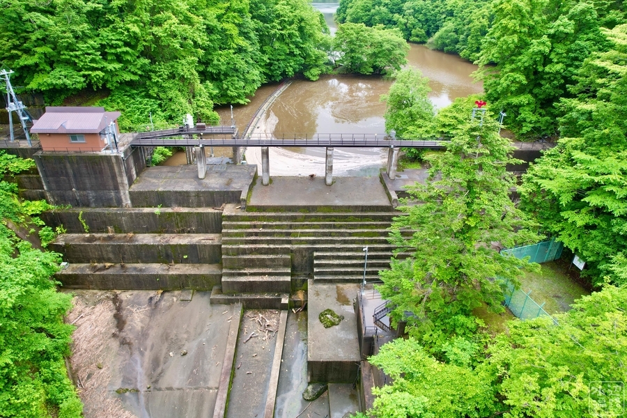 f:id:cippillo:20210817151327j:plain