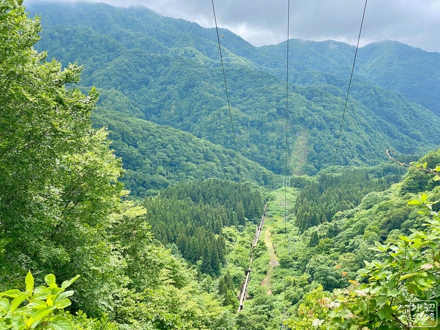 f:id:cippillo:20210817151408j:plain