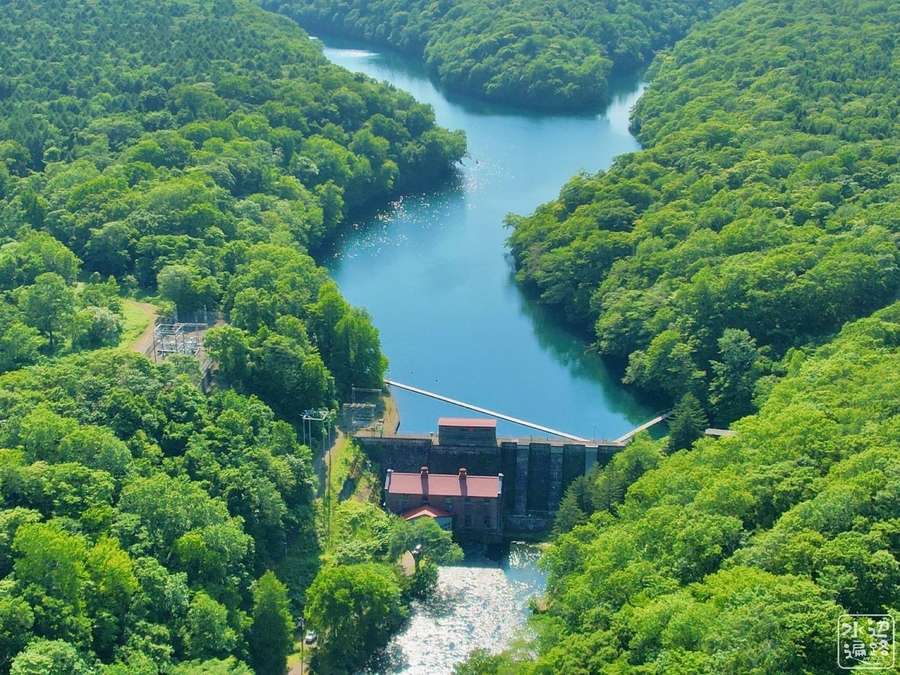 f:id:cippillo:20210819150520j:plain