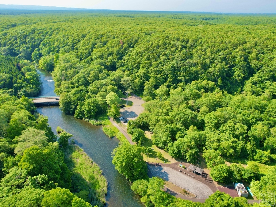 f:id:cippillo:20210819150531j:plain