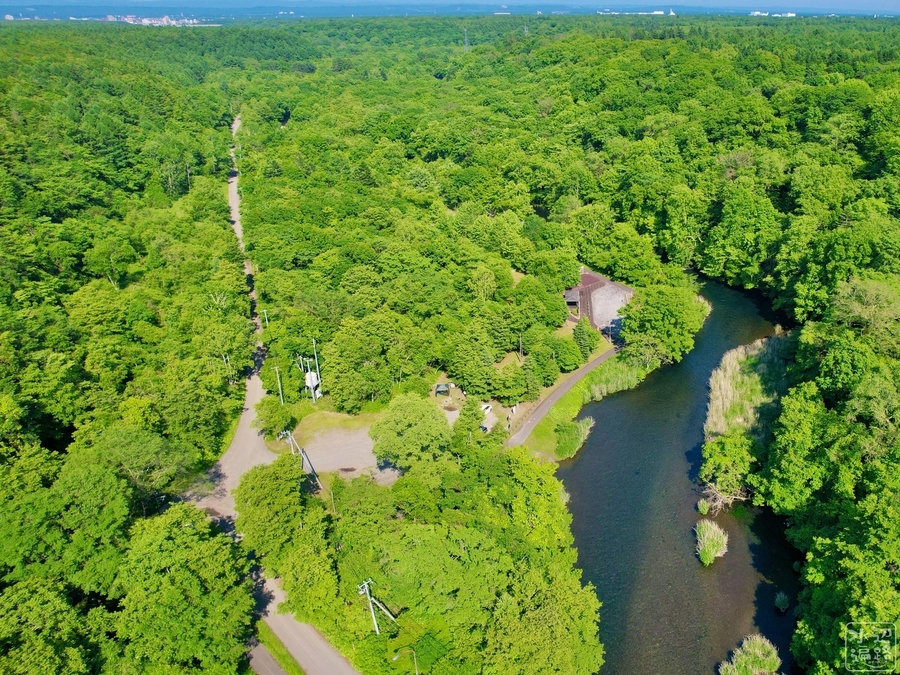 f:id:cippillo:20210819150548j:plain