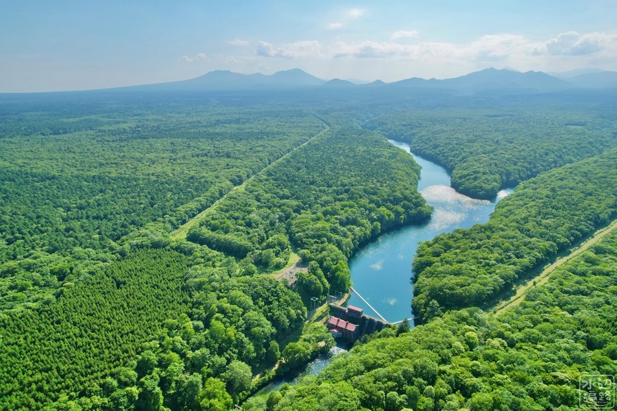 f:id:cippillo:20210819150604j:plain