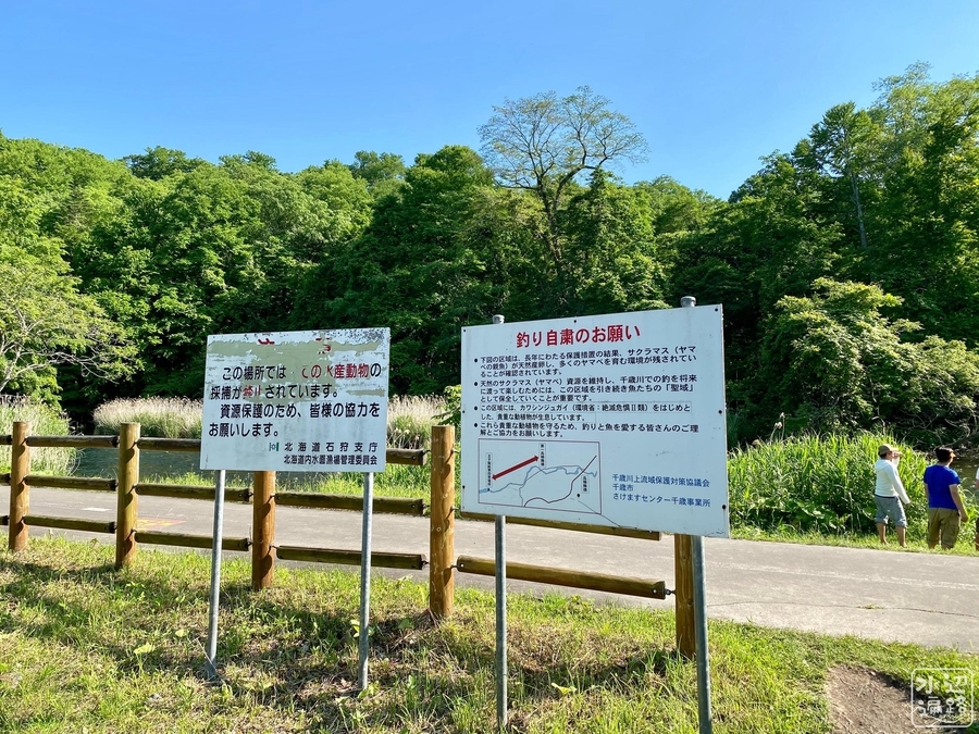 f:id:cippillo:20210819151557j:plain