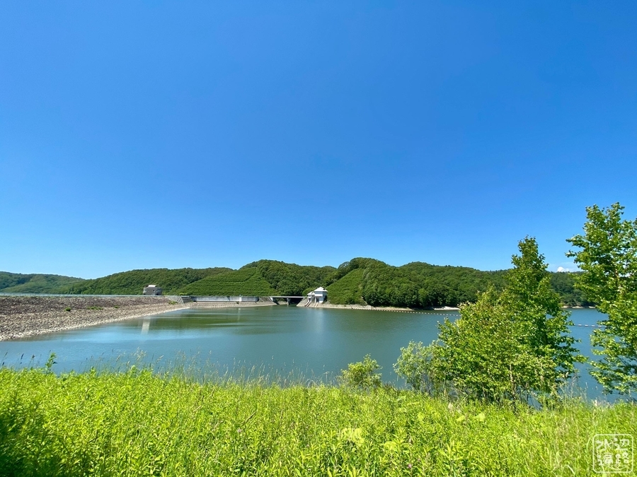 f:id:cippillo:20210829120542j:plain