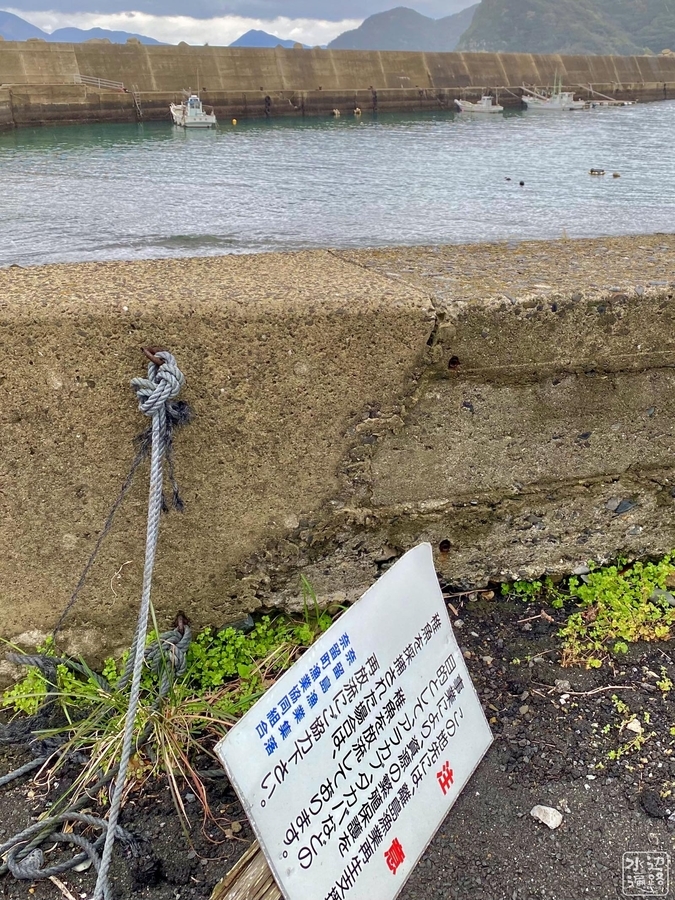 f:id:cippillo:20210831123203j:plain