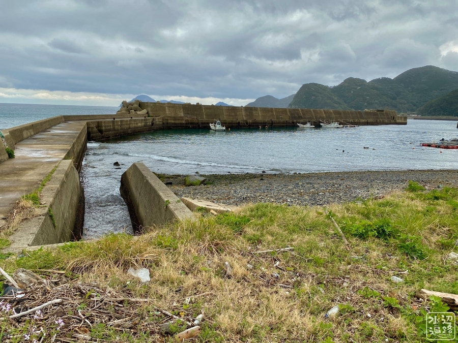 f:id:cippillo:20210831123244j:plain