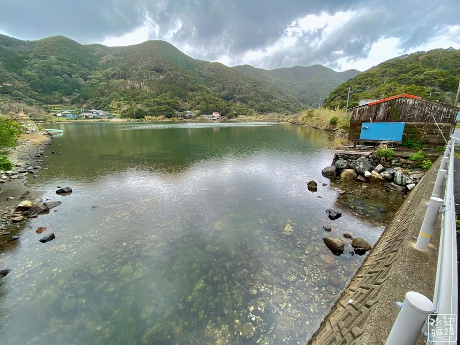 f:id:cippillo:20210831123302j:plain