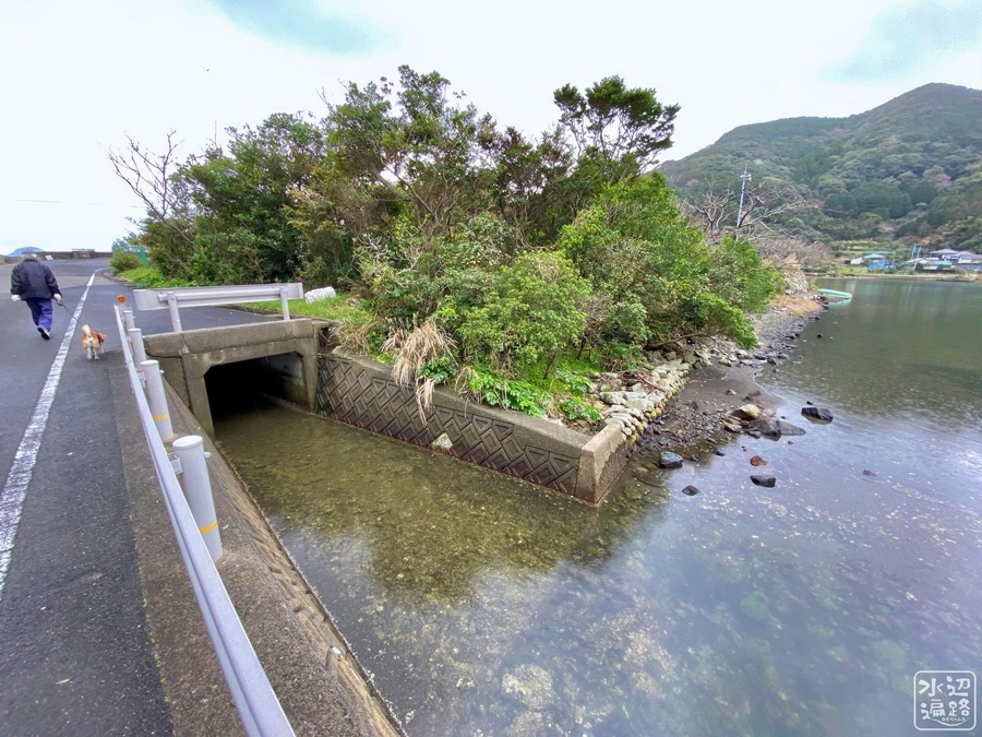 f:id:cippillo:20210831123310j:plain