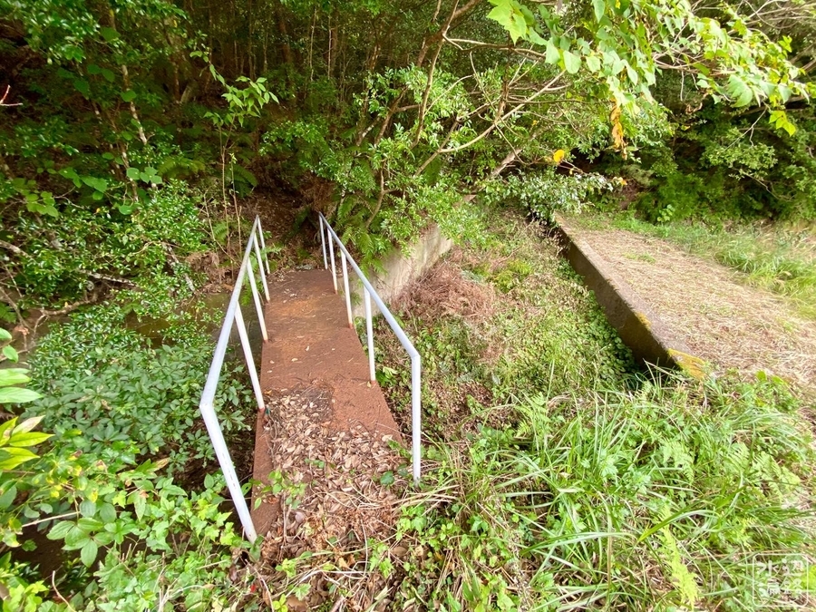 f:id:cippillo:20210904105326j:plain