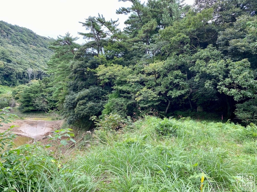 f:id:cippillo:20210904105337j:plain