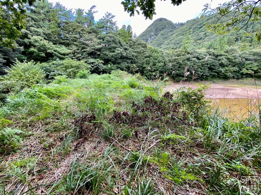 f:id:cippillo:20210904105343j:plain