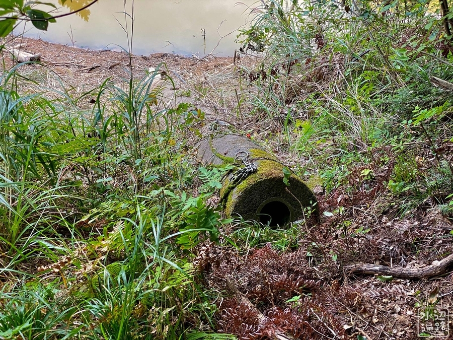 f:id:cippillo:20210904105348j:plain