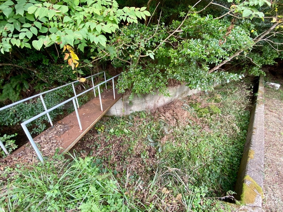 f:id:cippillo:20210904105400j:plain