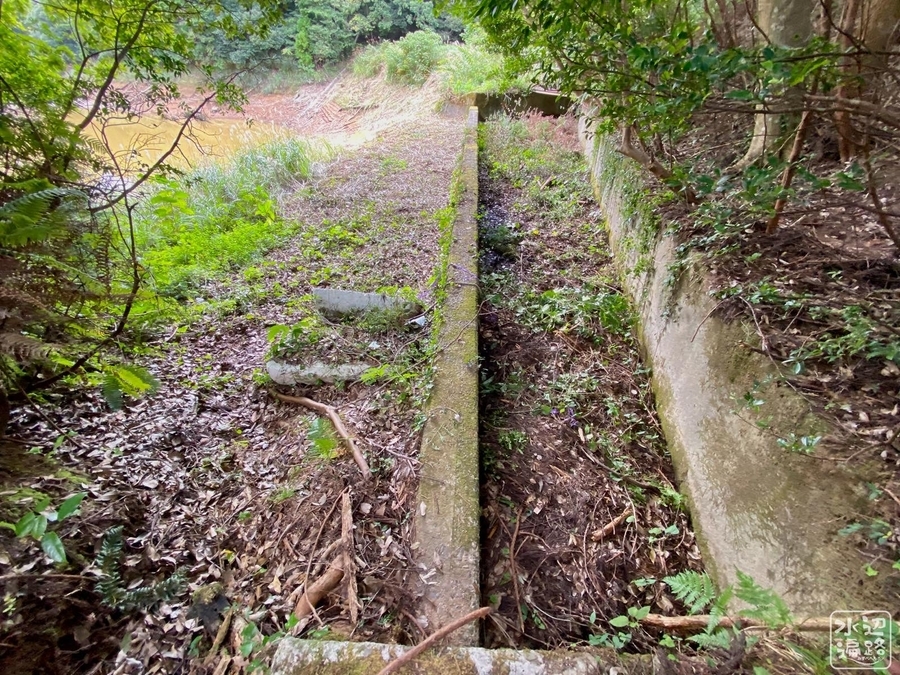 f:id:cippillo:20210904105405j:plain