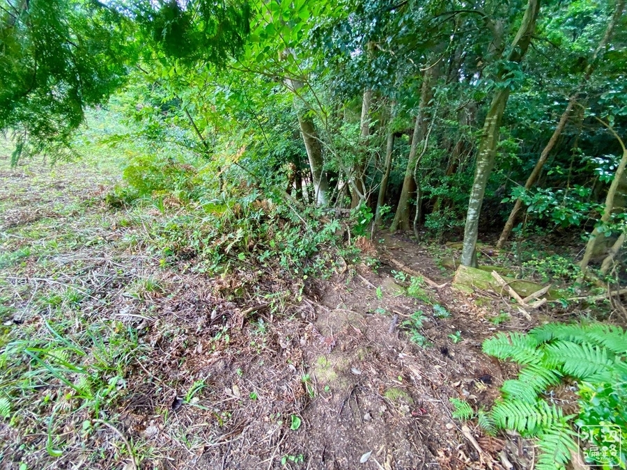 f:id:cippillo:20210904105410j:plain