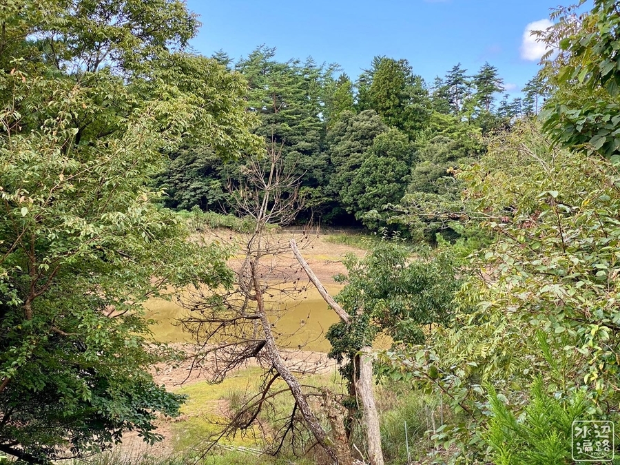 f:id:cippillo:20210904105423j:plain