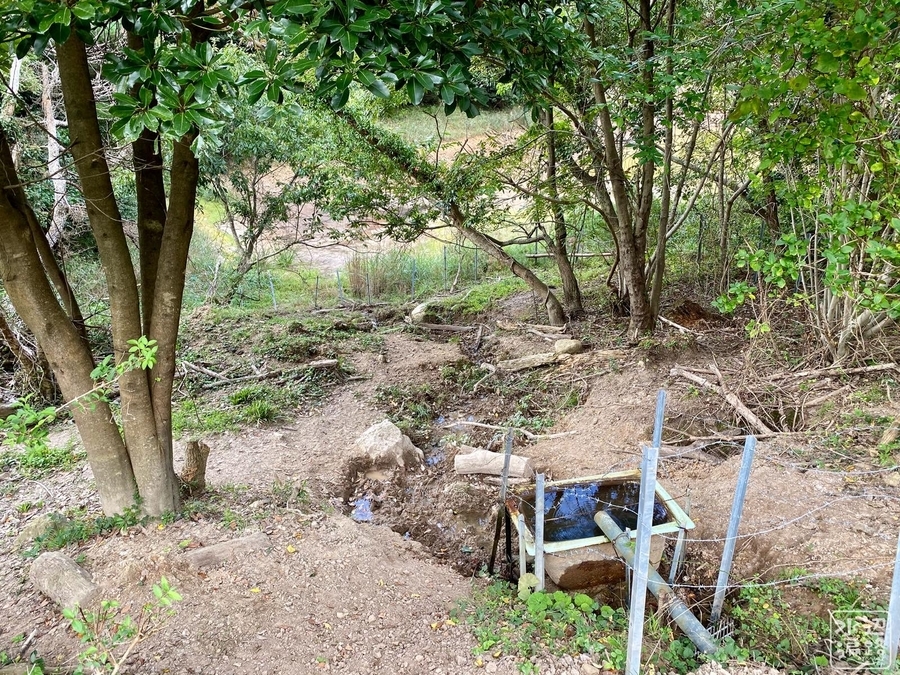 f:id:cippillo:20210904105434j:plain