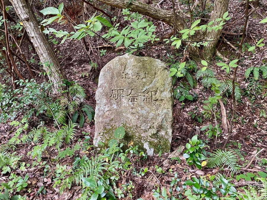 f:id:cippillo:20210904105510j:plain