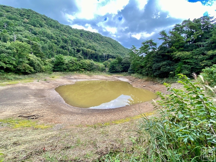 f:id:cippillo:20210904105521j:plain