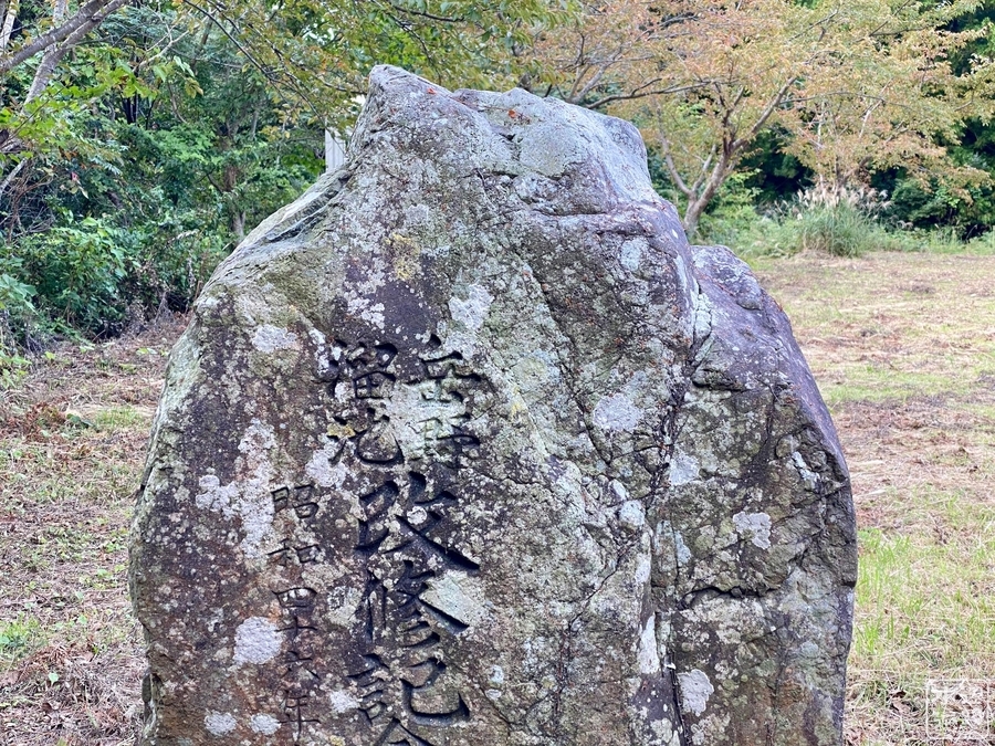 f:id:cippillo:20210904105546j:plain