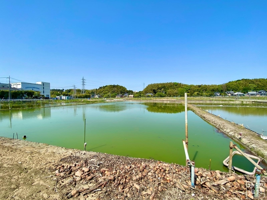 f:id:cippillo:20210906092428j:plain