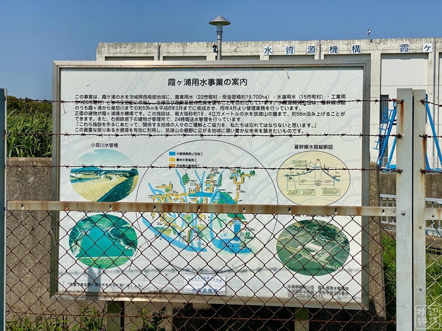 f:id:cippillo:20210906092501j:plain