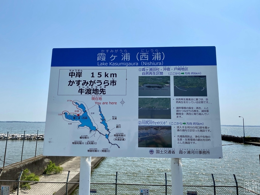 f:id:cippillo:20210906092510j:plain