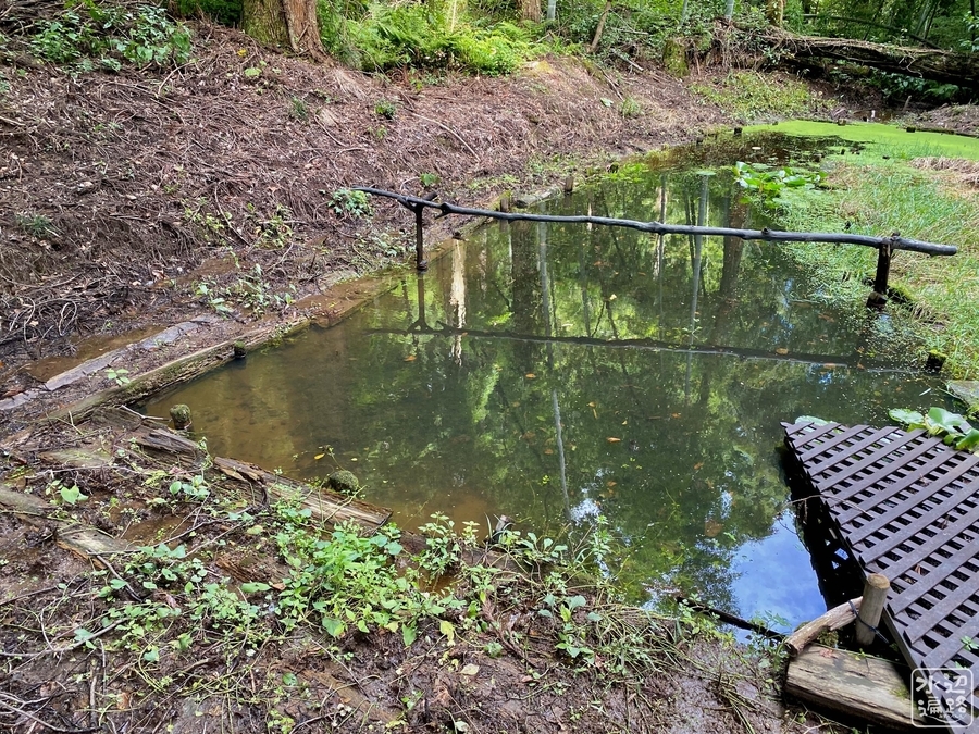 f:id:cippillo:20210907152405j:plain