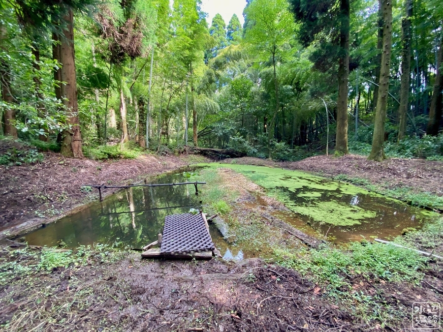 f:id:cippillo:20210907152423j:plain