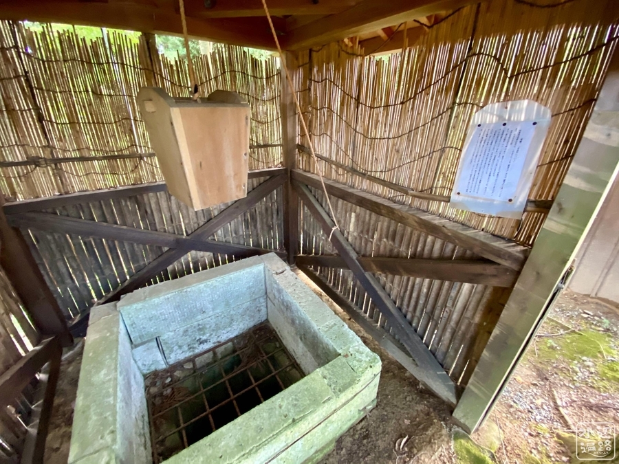 f:id:cippillo:20210907152538j:plain