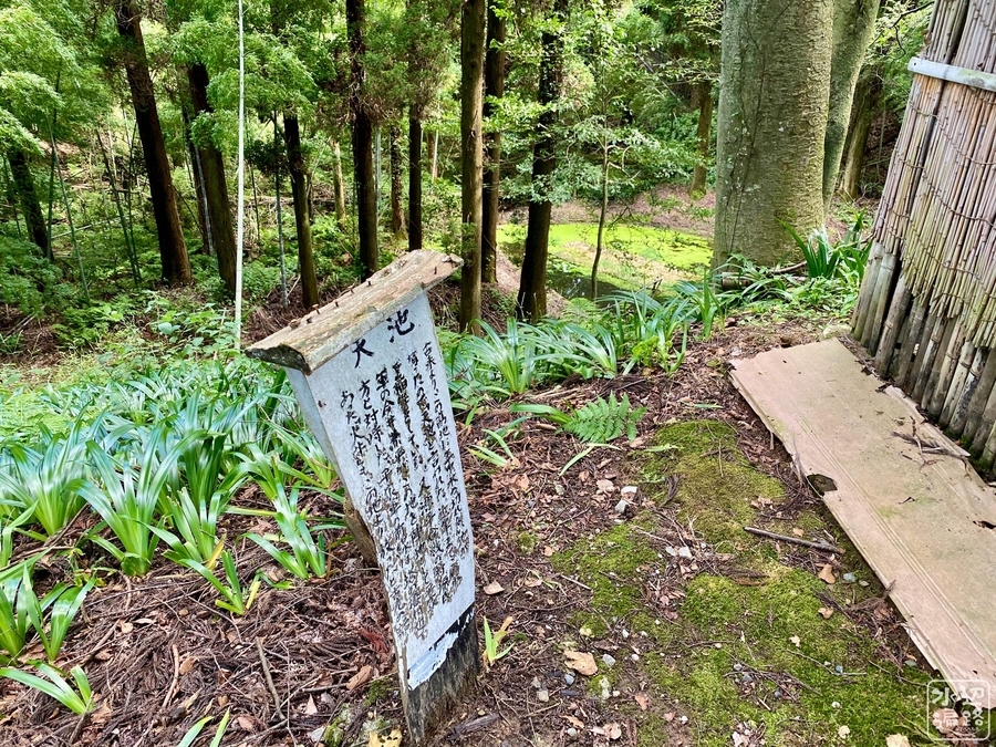 f:id:cippillo:20210907152554j:plain