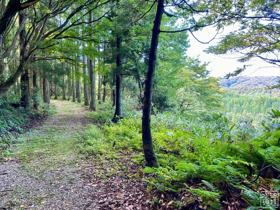 f:id:cippillo:20210907152603j:plain