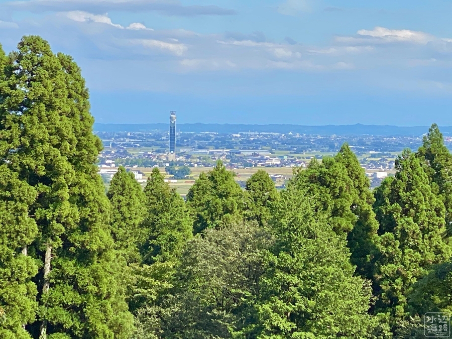 f:id:cippillo:20210907152633j:plain