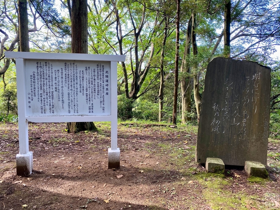 f:id:cippillo:20210907152754j:plain