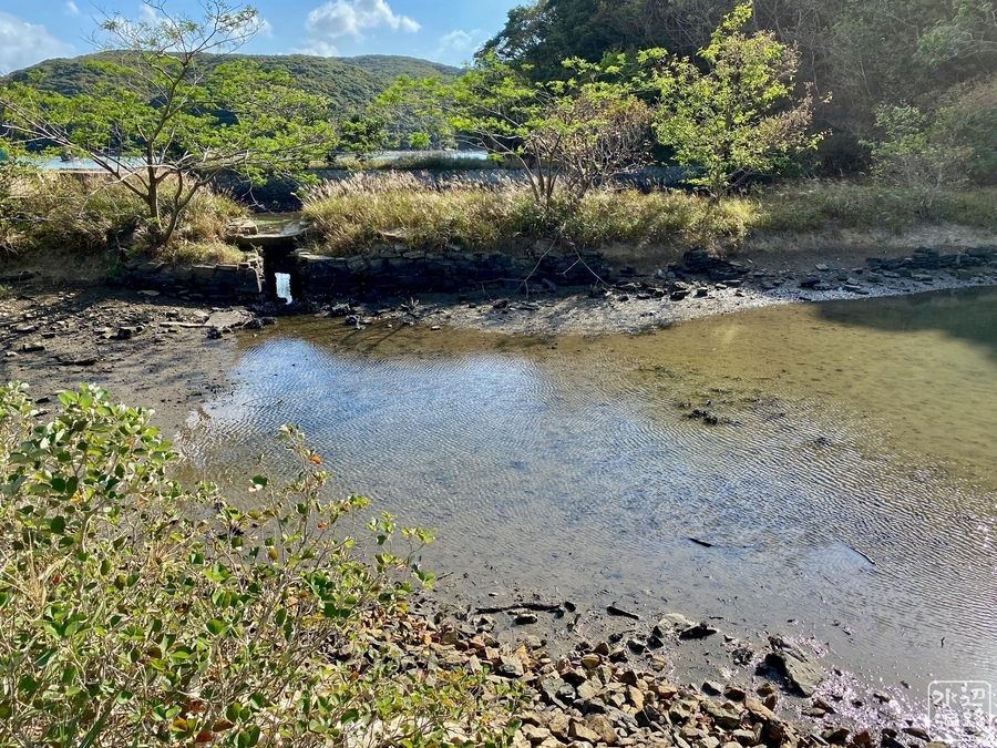 あそうベイパーク 自然観察の池 長崎県対馬 水辺遍路 あそうベイパーク 自然観察の池 長崎県対馬 水辺遍路