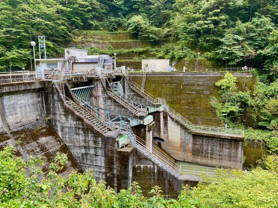 f:id:cippillo:20210919083647j:plain