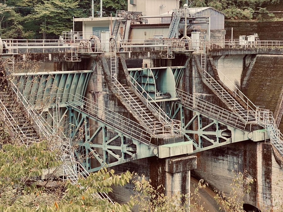 f:id:cippillo:20210919083657j:plain