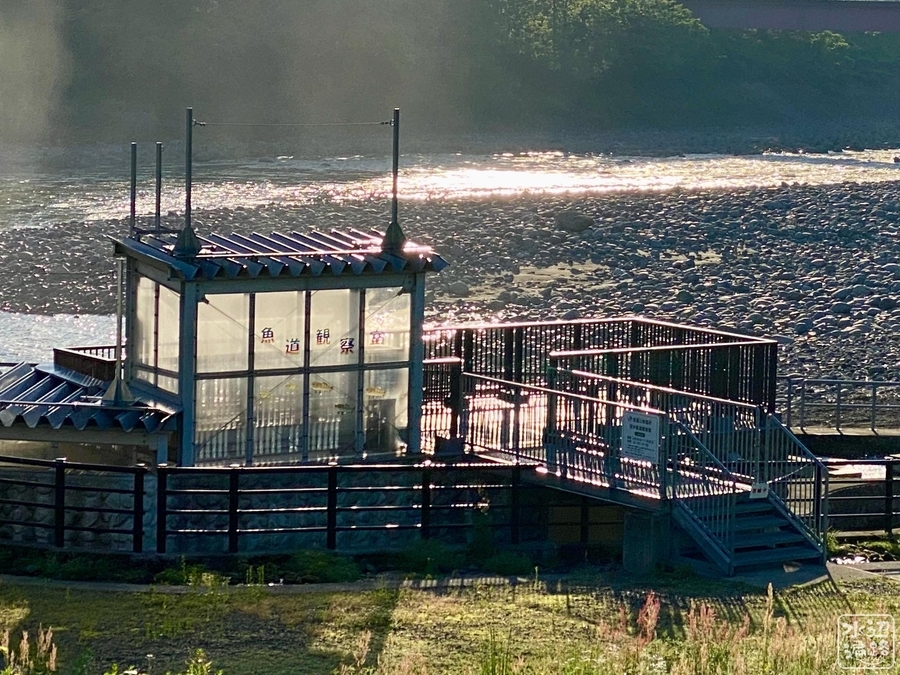 f:id:cippillo:20210927173056j:plain