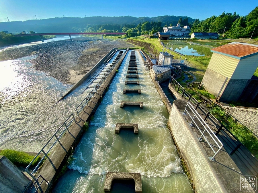 f:id:cippillo:20210927173124j:plain